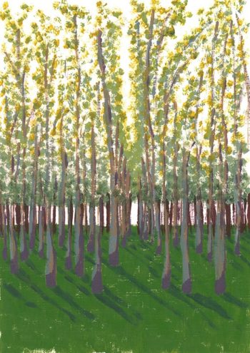 Birch Grove - acrylic on paper (c) Jennifer Mosher