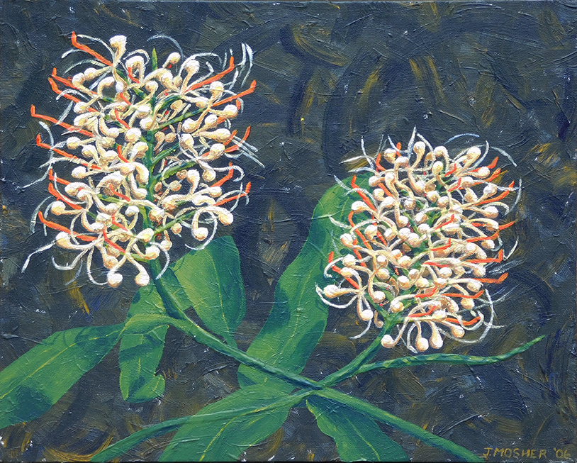 Ginger Lilies - acrylic on stretched canvas (c) Jennifer Mosher