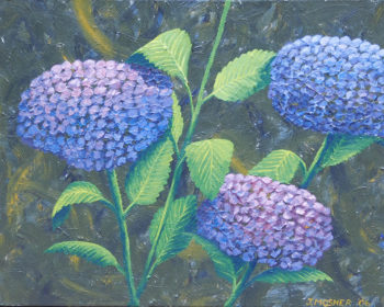 Hydrangeas - acrylic on stretched canvas (c) Jennifer Mosher