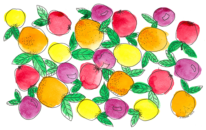 Oranges and Lemons - watercolour and ink (c) Jennifer Mosher