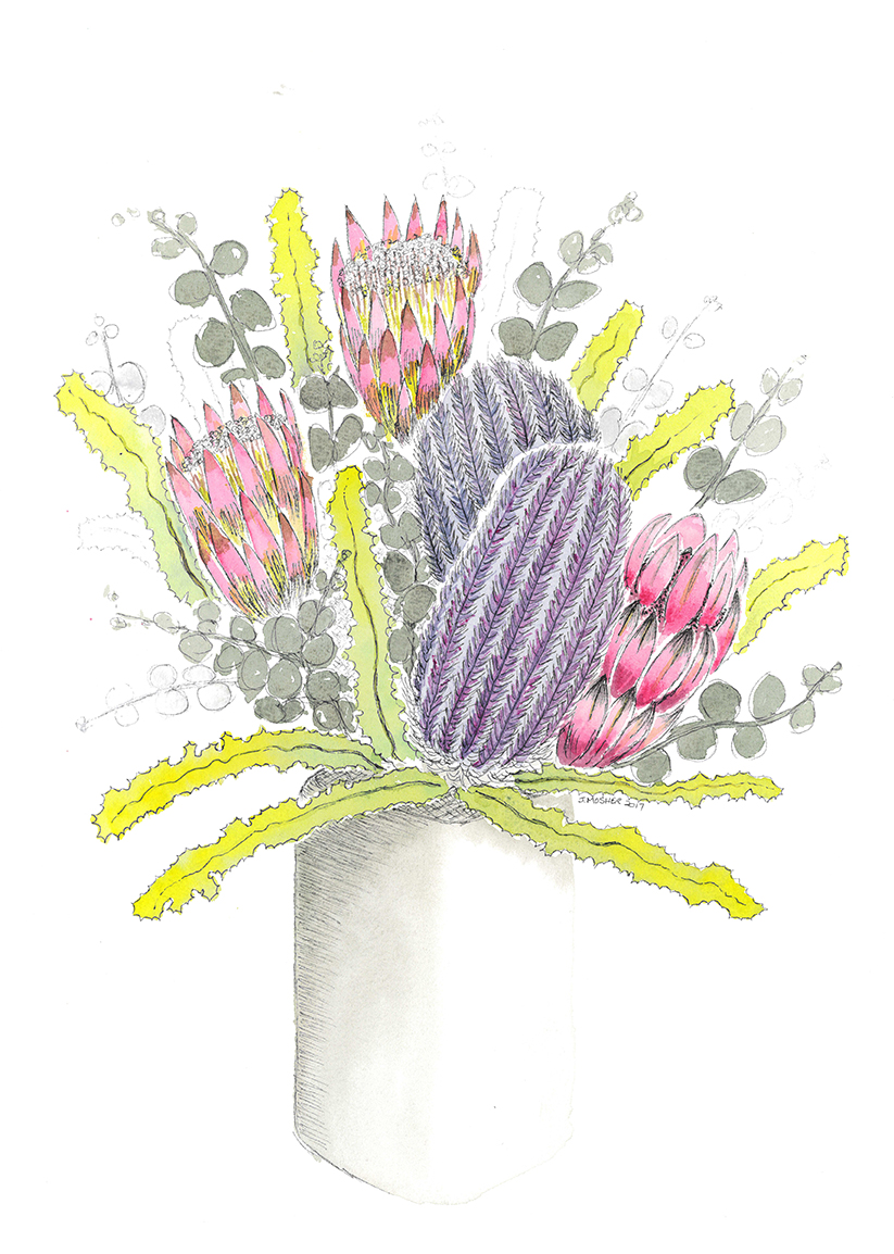 Proteas 1 - watercolour and ink (c) Jennifer Mosher