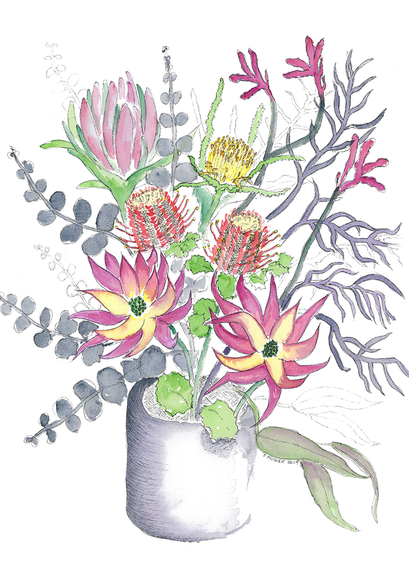 Proteas 2 - watercolour and ink (c) Jennifer Mosher