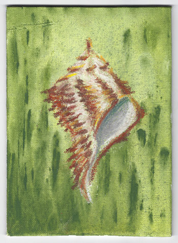 Sea Shell - oil pastel on canvas board (c) Jennifer Mosher