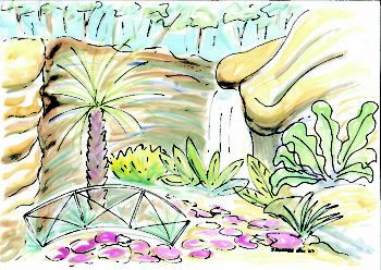The Grotto, Everglades - watercolour (c) Jennifer Mosher