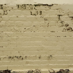 Cream painted brick wall, Carcoar NSW by Jennifer Mosher - thumbnail